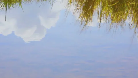 Reflections of Clouds, Grass, and Ripples in a Puddle Video stock 327302011