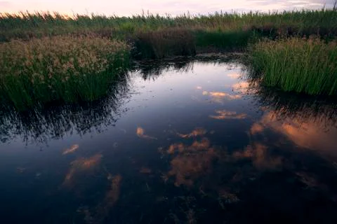 Reflections of clouds in the lake Stock Photos