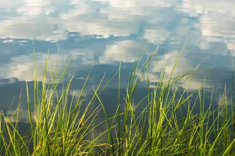 Reflections of clouds in the river Stock Photos