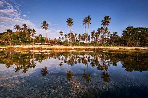 Reflections of coconut trees, rocks and sand on the calm water of a beach Stock Photos