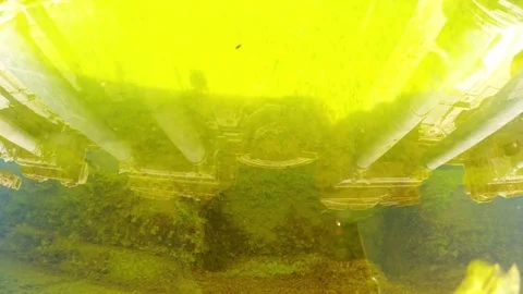 Reflections of Columns in Green Water in Pond of Old Fountain Centre of Stock Footage 75324346