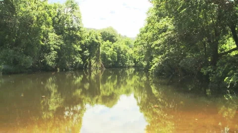 Reflections in creek Motion JPEG Stock Footage 5504001