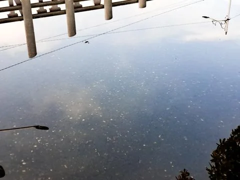 Reflections dance on a dark, watery surface, capturing inverted street elem.. Stock Photos