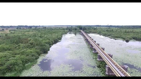 Reflections on dark water at Moerputten bridge, Brabant, the Netherlands Stock Footage 337897555