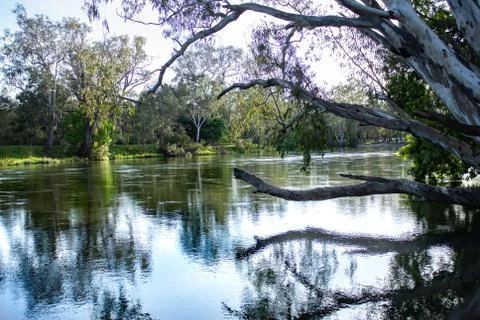 Reflections of eucalyptus gum trees in Murray River, New South Wales, Australia Stock Photos