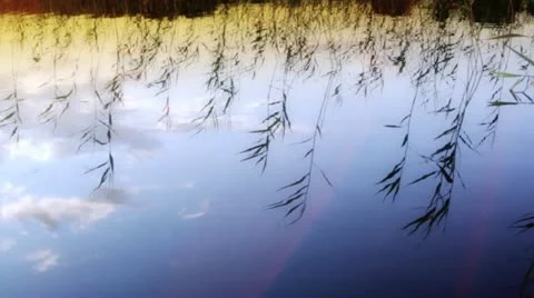 Reflections on evening lake Stock Footage 12142060