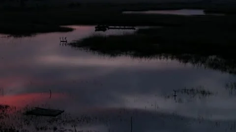 Reflections of evening sky in tranquil swamp Stock Footage 22037271