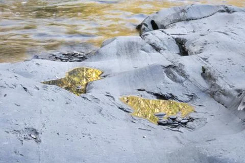 Reflections of fall foliage and trees in rock pools beside a river Stock Photos