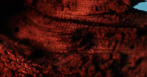 Reflections of fire on old wood. Stock Footage 263077544