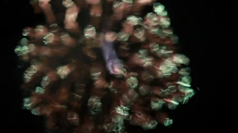 Reflections of Fireworks over Water Stock Footage 37146255