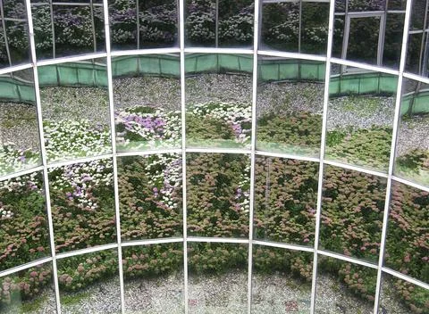 Reflections of flowers in windows Stock Photos