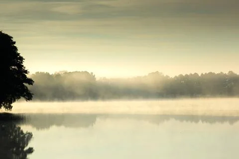 Reflections in the fog Stock Photos