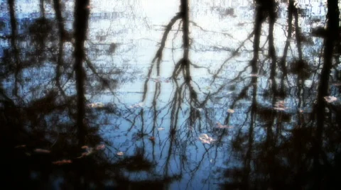 Reflections Stock-Footage 89996