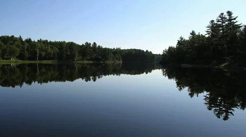 Reflections Video stock 770233