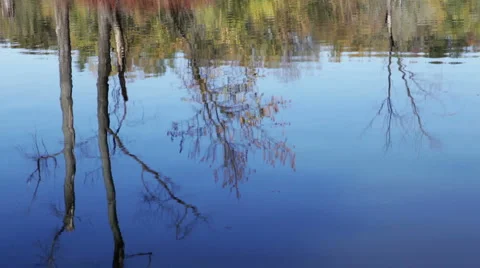 Reflections Video stock 3948838