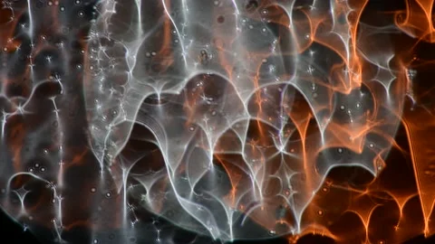 Reflections Video stock 142887973