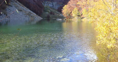 Reflections Stock Footage 164300012