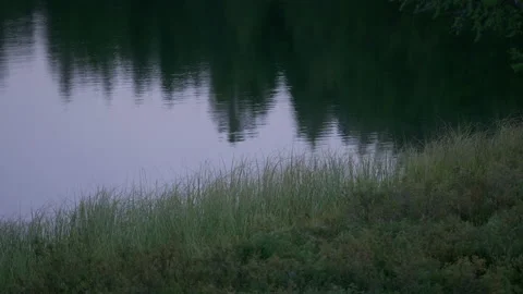 Reflections of the forest in the lake Stock Footage 171759865