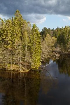 Reflections of the forest on a lake. Sunset time. Stock Photos