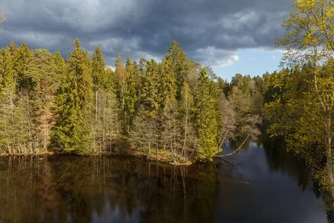 Reflections of the forest on a lake. Sunset time. Stock Photos