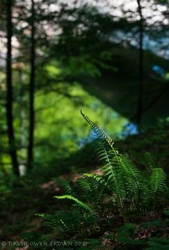 Reflections in a gorge Stock Photos