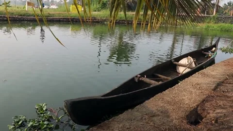 Reflections from a green coconut tree are falling in the river water - Kerala... Stock Footage 260895008
