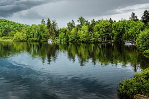 Reflections of green pine trees into a lake under soft greyish c Stock Photos