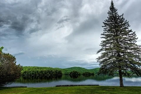 Reflections of green pine trees into a lake under soft greyish c Stock Photos