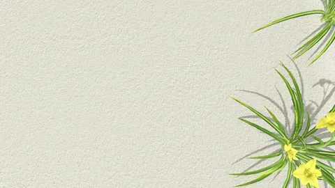 Reflections of green plant. Stock Footage 261263236