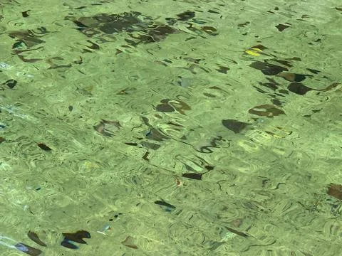Reflections of the Green Water Stock Photos