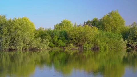 Reflections of green willow trees on calm lake water in spring. Stock Footage 345136934