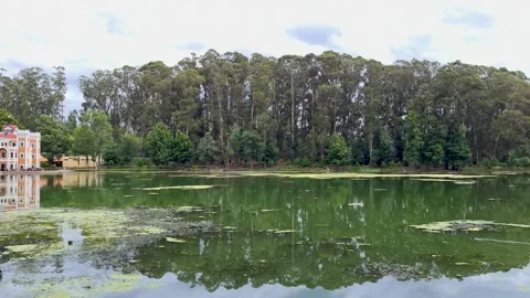 Reflections in the Lake at Castillo Stock Footage 283595177