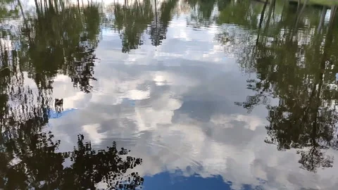 Reflections in the lake of clouds and trees Stock Footage 220955069