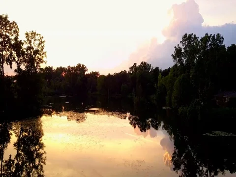 Reflections on a Lake Stock Footage 78141083