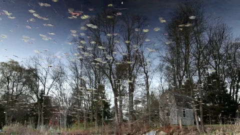 Reflections in a Lake Stock-Footage 89408206