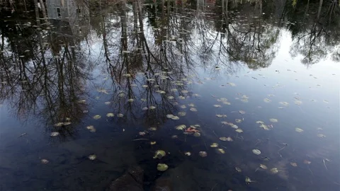 Reflections in a Lake Stock Footage 89408270