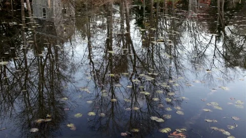 Reflections in a Lake Stock Footage 89408314