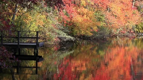 Reflections in a Lake Stock Footage 89408486