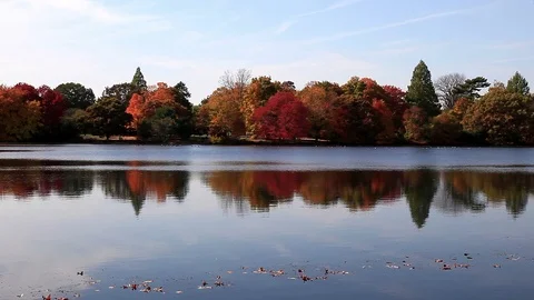 Reflections in a Lake 스톡 동영상 89408604