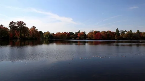 Reflections in a Lake Stock Footage 89408626
