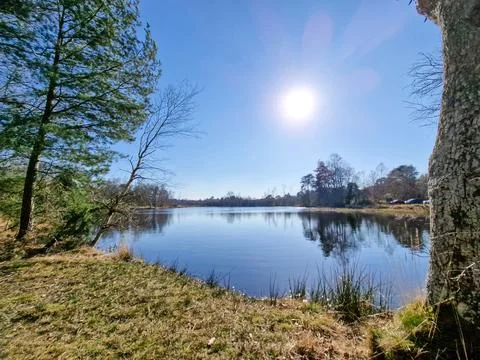 Reflections on a lake on a fresh winter's day 库存照片