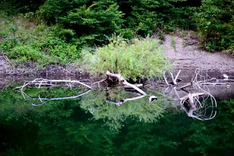 Reflections on the lake Stock Photos