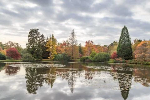 Reflections in a Lake Foto stock