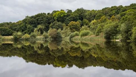 Reflections in a lake Stock Photos