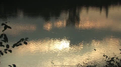 Reflections on lake surface Stock Footage 11884323