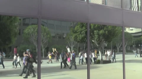 Reflections In A Large Corporate Window of Anti-Trump Protesters in Los Angeles Vidéo 226836228