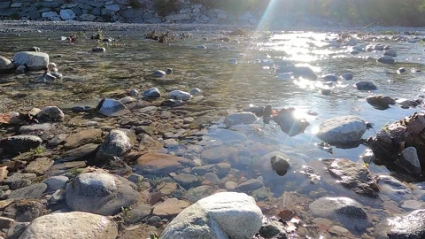 Reflections of light in stream water Vídeo Stock 239813219