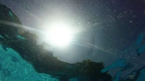 Reflections of light under water Stock Footage 92479658