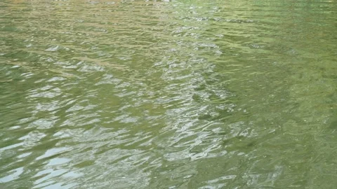 Reflections of light on the water Stock Footage 100389749