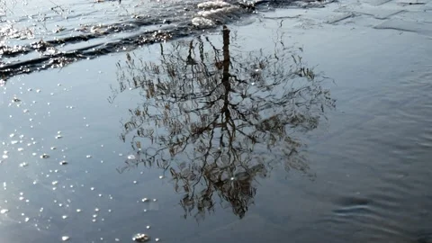 Reflections of light on the water Stock Footage 100394171